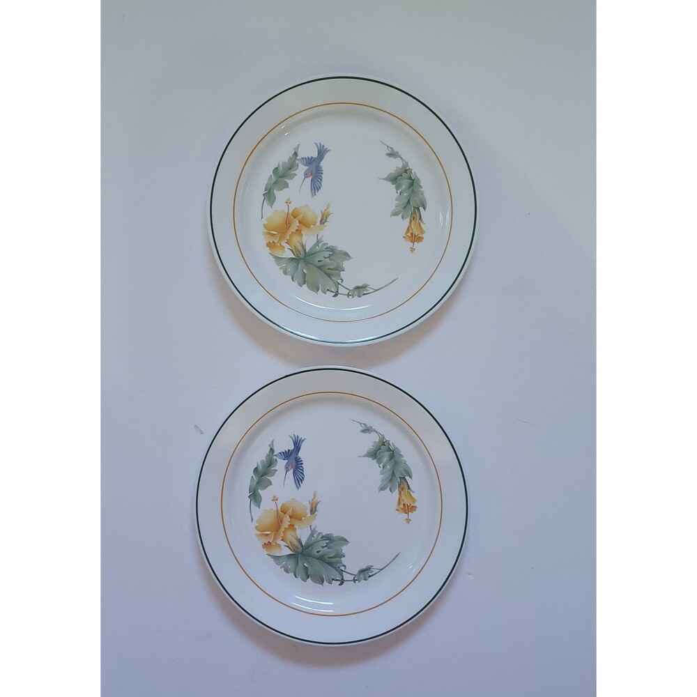 Corelle (Corning) Hummingbird With Hibiscus Flowers Dinner Plates - Set Of 2